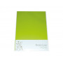 Carton fantaisie vert clair A4 180g - 10 pièces