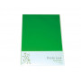 Carton fantaisie Vert A4 180g - 10 pcs