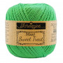 Scheepjes Maxi Sweet Treat Fil Unicolor 389 Apple Green