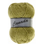 Lammy Canada Yarn Unicolour 271 Dark Lime Green (vert lime foncé)