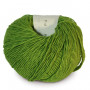 BC Garn Allino Laine Unicolor 20 Vert Foncé