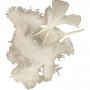 Duvet, blanc, taille 7-8 cm, 500 g/ 1 pk.