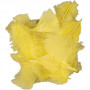 Duvet, jaune, taille 7-8 cm, 500 g/ 1 pk.