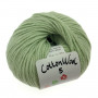 Gepard Garn CottonWool 5 Fil Unicolor 810 Vert Poudré