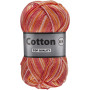 Lammy Cotton 8/4 Fil Multi 629