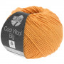 Lana Grosa Cool Wool Big Fil 994 Clémentine