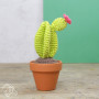 Set DIY/DIY Cacti au crochet