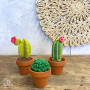 Set DIY/DIY Cacti au crochet