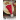 Dîner au Kringles par DROPS Design - Patron de Porte-couverts avec Motif Torsade Tricoté 16x22cm - 2 pces