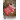 Cuisson de Noël par DROPS Design - Patron de Porte-pots Tricotés avec Motif Nordique 20x19cm - 2 pces