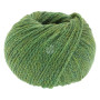 Lana Grossa Cool Merino Big Fil 204 Vert