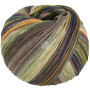 Lana Grossa Gomitolo Arco Yarn 173 Beige gris/Olive/Grey Brown/Green/Yellow/Turquoise/Yellow Green