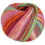Lana Grossa Gomitolo Arco Yarn 177 Rose/Rose/Orange/Fuchsia foncé/Jaune clair/Turquoise menthe/Vert jaune/Jaune